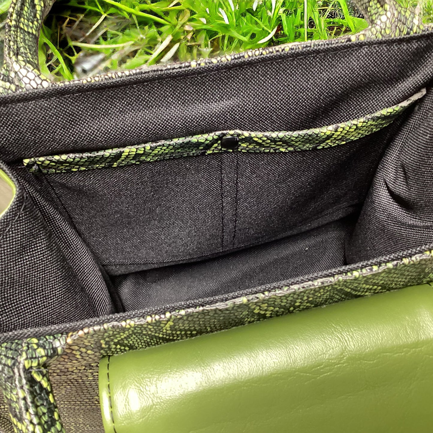 Snake In The Grass